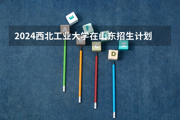 2024西北工业大学在山东招生计划表