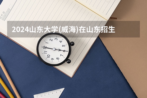 2024山东大学(威海)在山东招生计划表