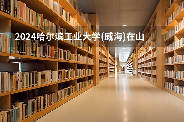 2024哈尔滨工业大学(威海)在山东招生计划表