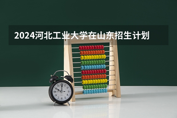 2024河北工业大学在山东招生计划表