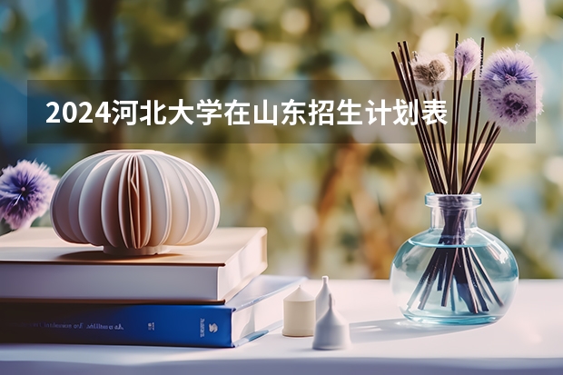 2024河北大学在山东招生计划表