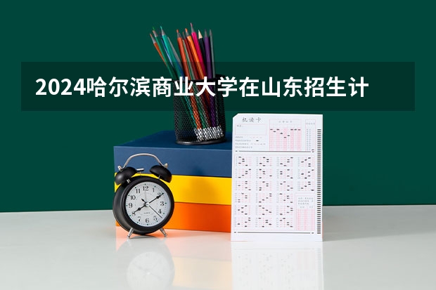 2024哈尔滨商业大学在山东招生计划表