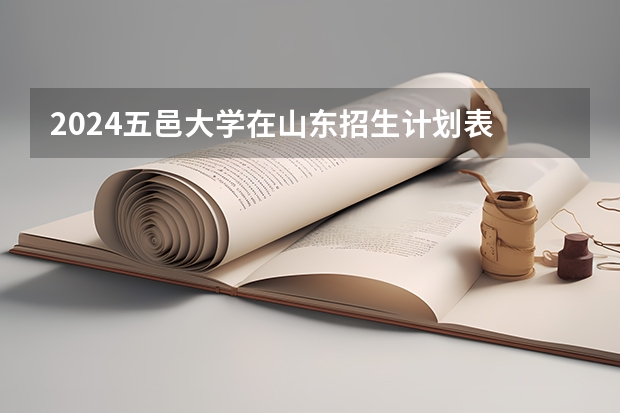 2024五邑大学在山东招生计划表