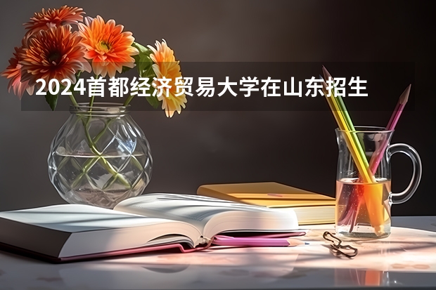 2024首都经济贸易大学在山东招生计划表