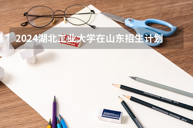 2024湖北工业大学在山东招生计划表