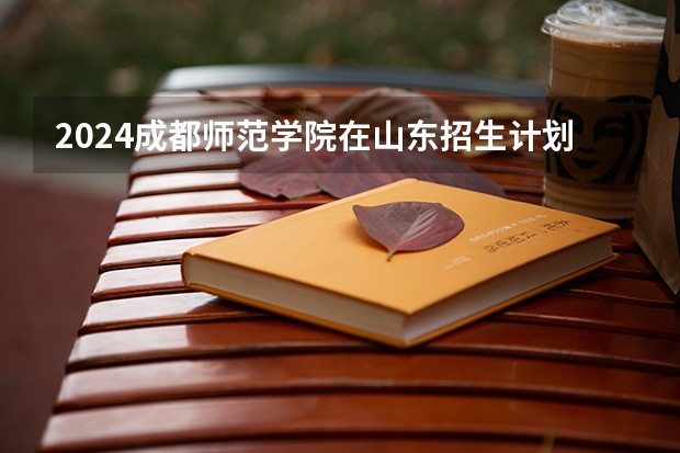 2024成都师范学院在山东招生计划表
