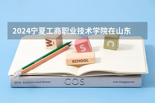 2024宁夏工商职业技术学院在山东招生计划表