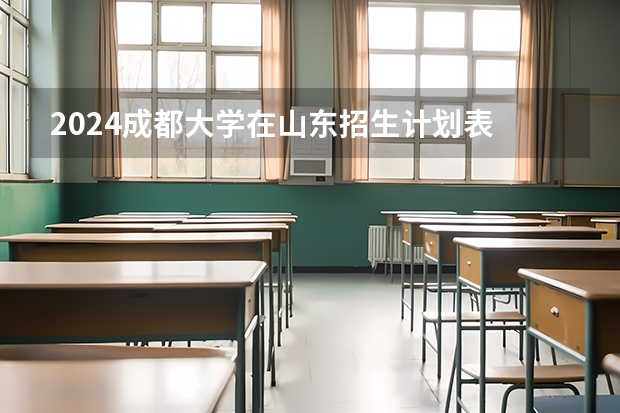 2024成都大学在山东招生计划表