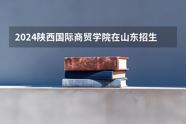 2024陕西国际商贸学院在山东招生计划表