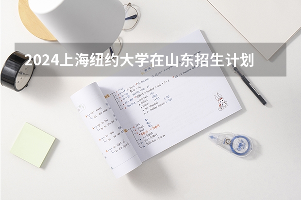 2024上海纽约大学在山东招生计划表