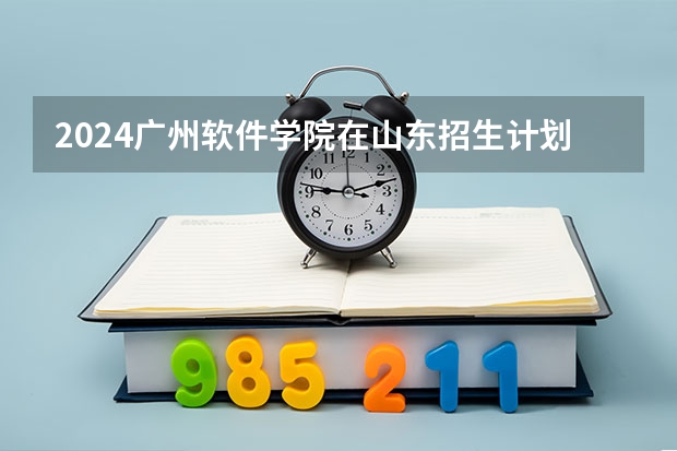 2024广州软件学院在山东招生计划表