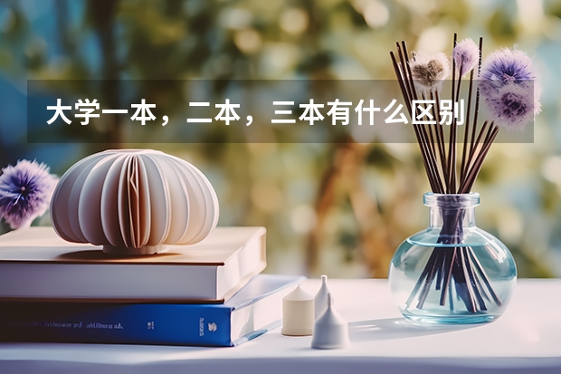 大学一本，二本，三本有什么区别