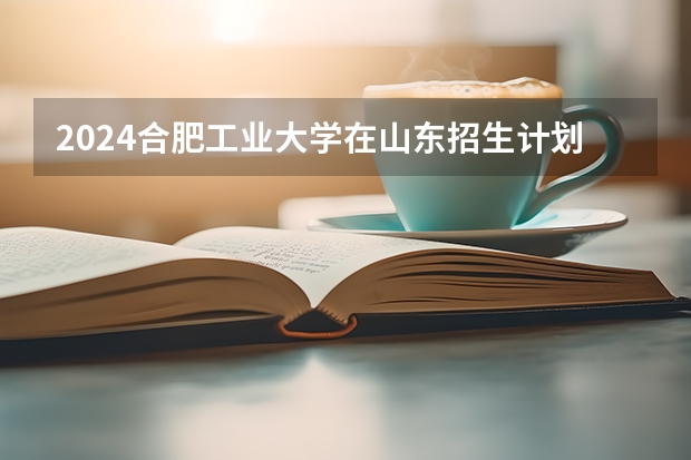 2024合肥工业大学在山东招生计划表