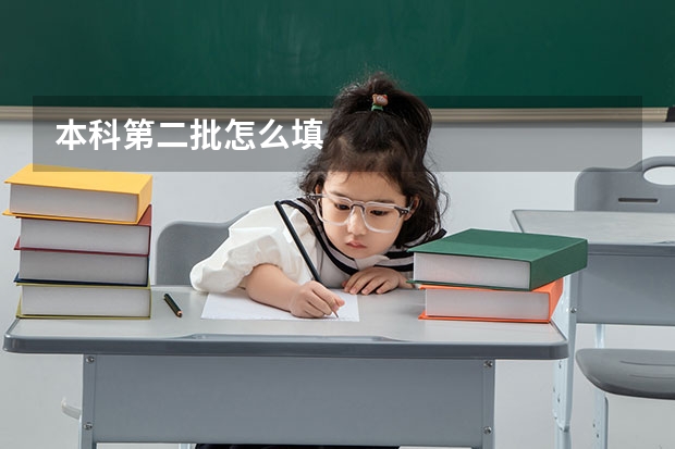 本科第二批怎么填