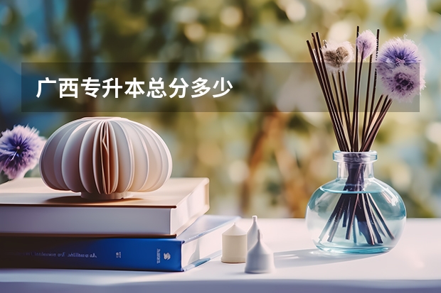 广西专升本总分多少
