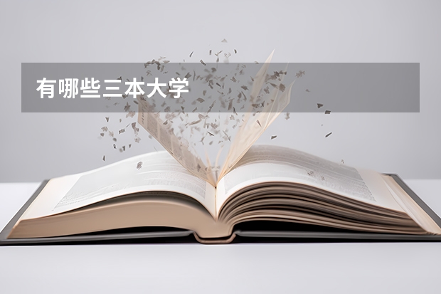 有哪些三本大学