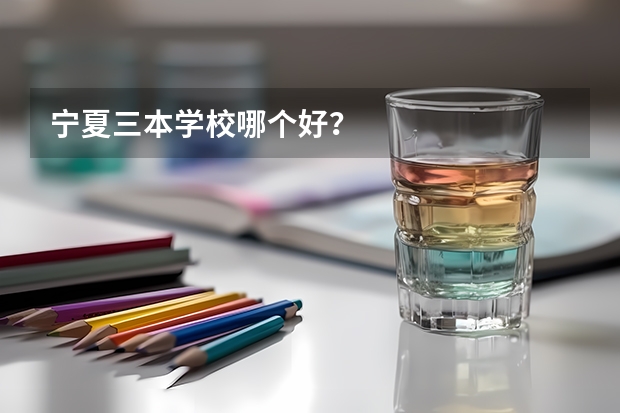 宁夏三本学校哪个好？