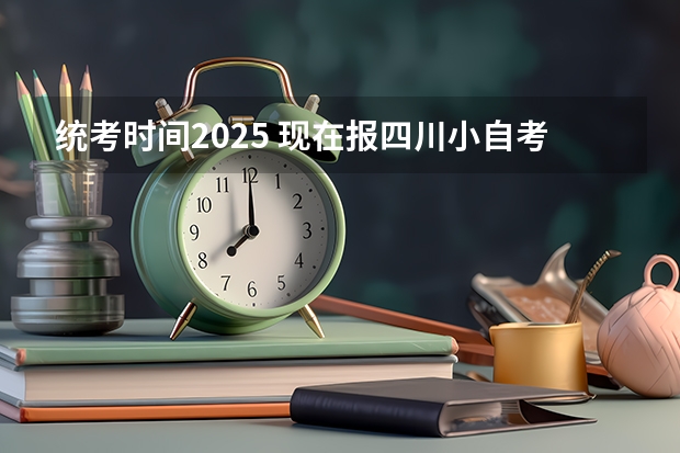 统考时间2025 现在报四川小自考数字媒体艺术设计专科，2024年10月统考考试安排