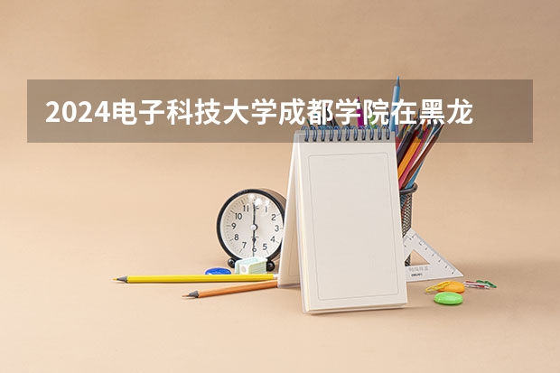 2024电子科技大学成都学院在黑龙江招生情况怎么样