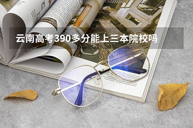 云南高考390多分能上三本院校吗