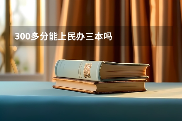 300多分能上民办三本吗