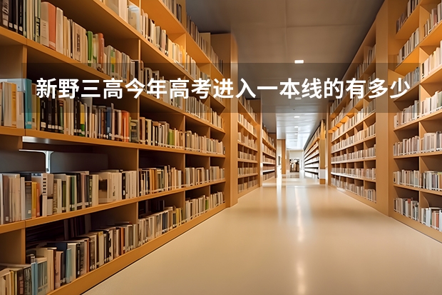 新野三高今年高考进入一本线的有多少人