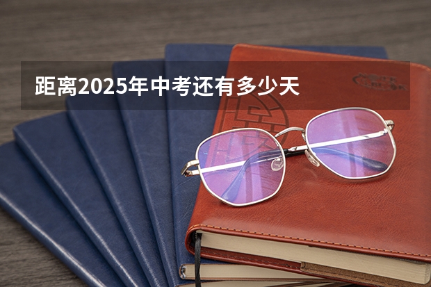 距离2025年中考还有多少天