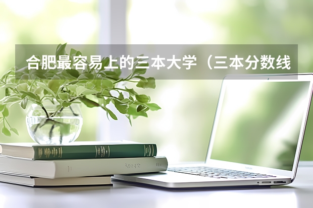合肥最容易上的三本大学（三本分数线）