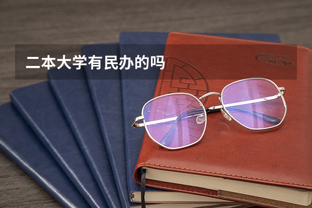 二本大学有民办的吗