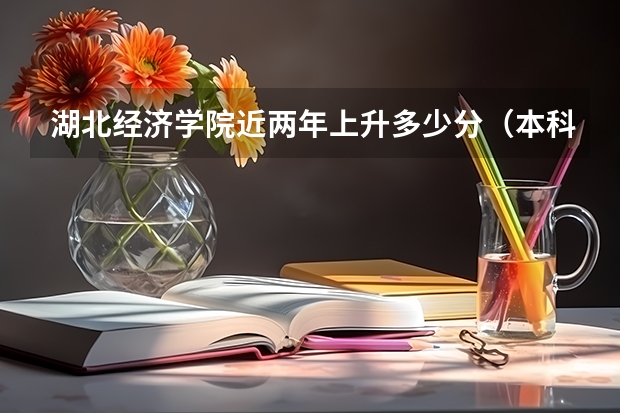 湖北经济学院近两年上升多少分（本科）