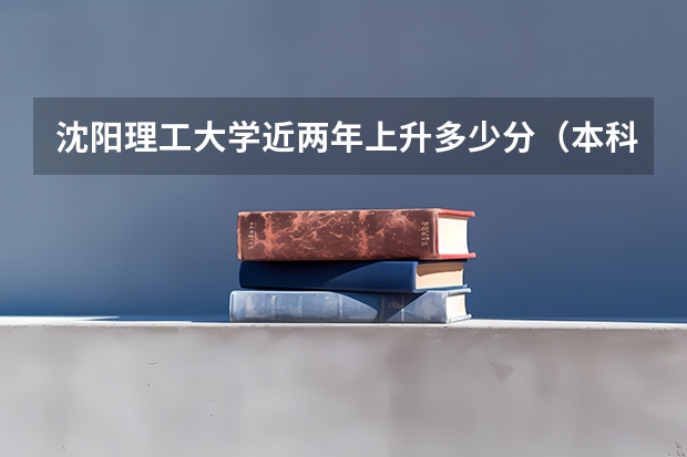 沈阳理工大学近两年上升多少分（本科）