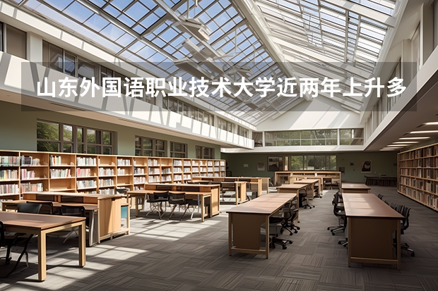 山东外国语职业技术大学近两年上升多少分（本科）