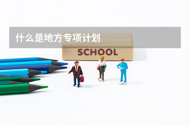 什么是地方专项计划